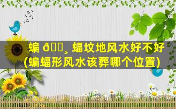 蝙 🌸 蝠坟地风水好不好(蝙蝠形风水该葬哪个位置)